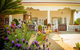 B&B Pietrafitta